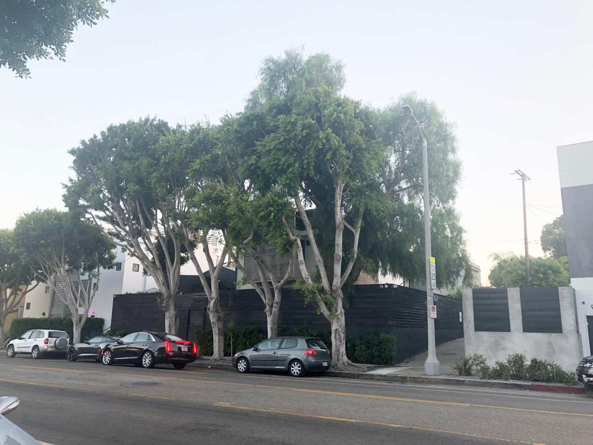 Venice Beach Studio With Large Private Patio Steps To The Beach Los Angeles Ngoại thất bức ảnh