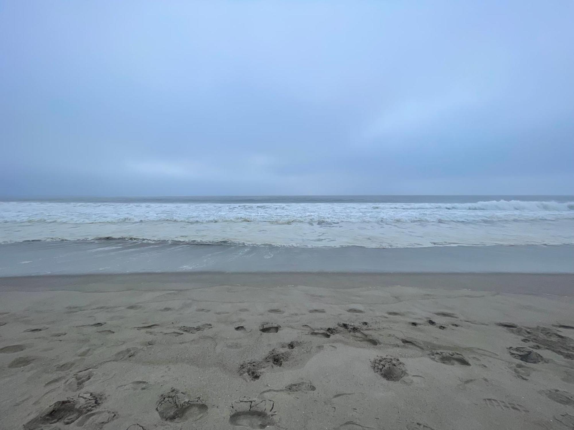 Venice Beach Studio With Large Private Patio Steps To The Beach Los Angeles Ngoại thất bức ảnh