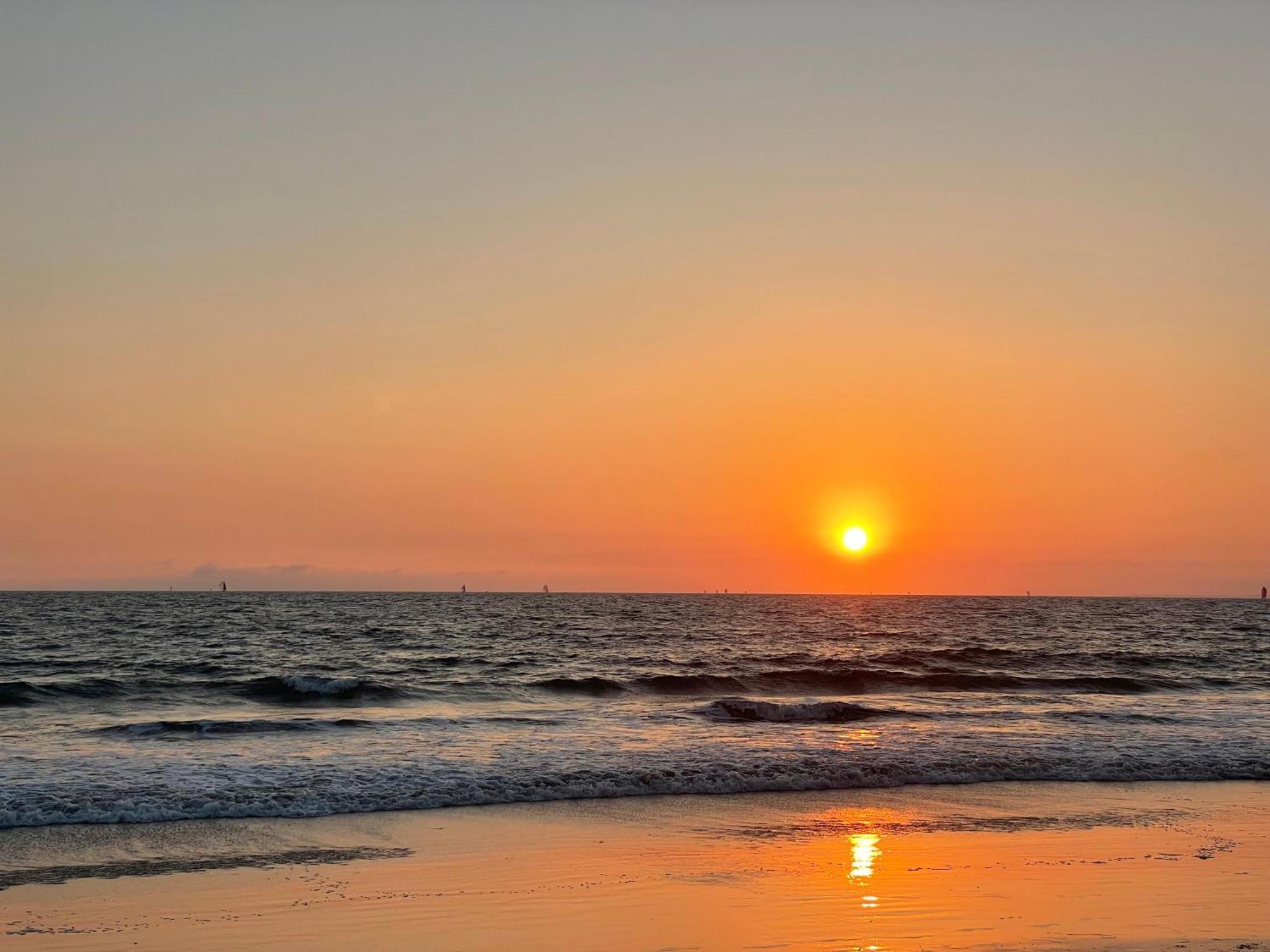 Venice Beach Studio With Large Private Patio Steps To The Beach Los Angeles Ngoại thất bức ảnh
