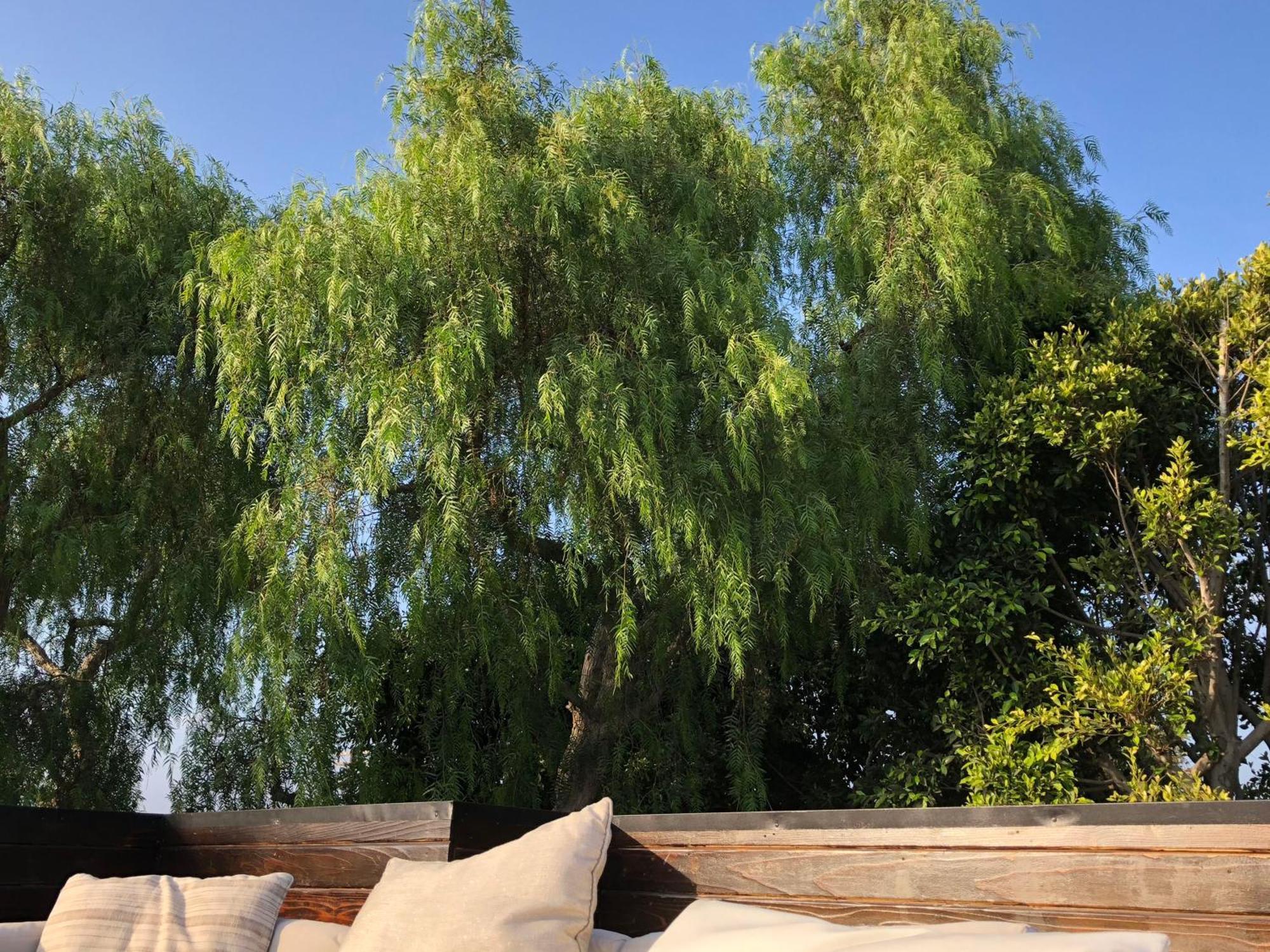 Venice Beach Studio With Large Private Patio Steps To The Beach Los Angeles Ngoại thất bức ảnh