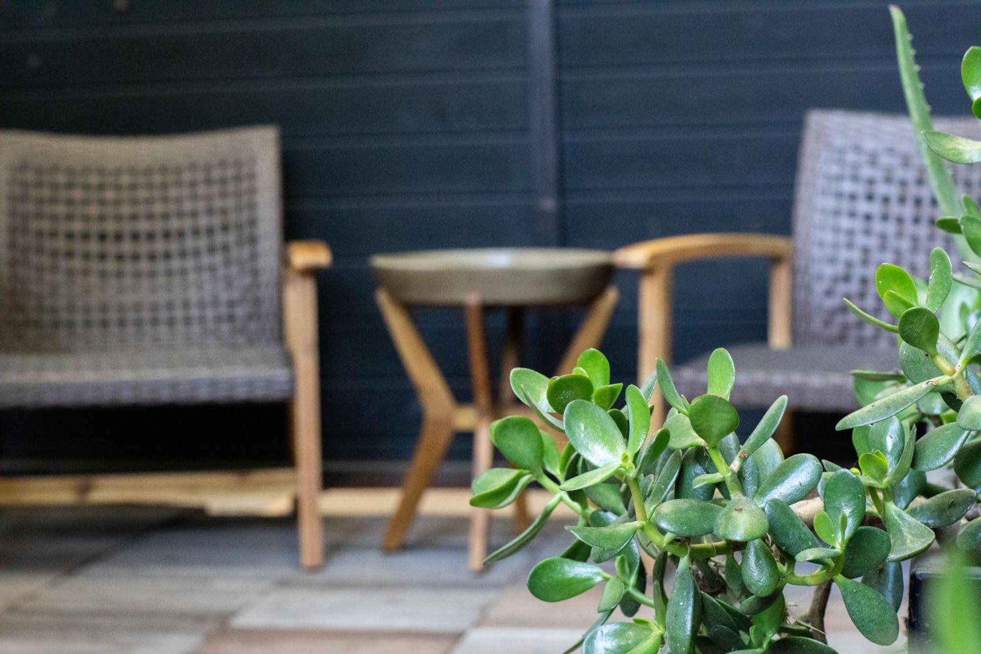 Venice Beach Studio With Large Private Patio Steps To The Beach Los Angeles Ngoại thất bức ảnh