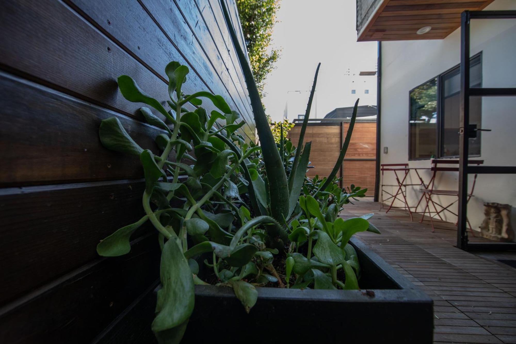 Venice Beach Studio With Large Private Patio Steps To The Beach Los Angeles Ngoại thất bức ảnh