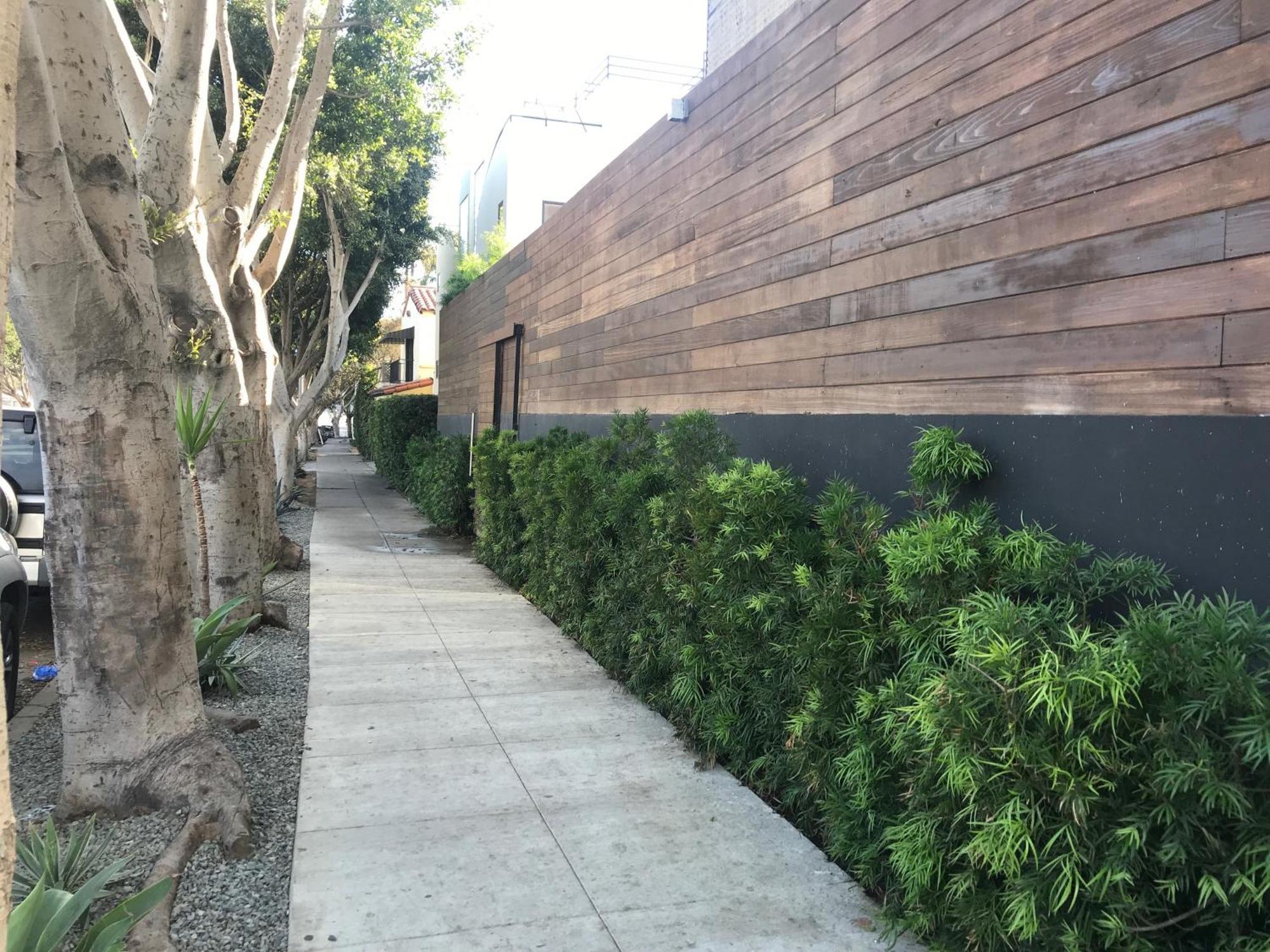 Venice Beach Studio With Large Private Patio Steps To The Beach Los Angeles Ngoại thất bức ảnh